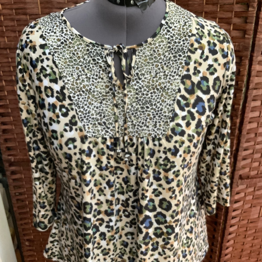 Kim Rodgers Curvy Tunic